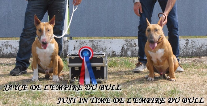 de l'Empire du Bull - DE L'EMPIRE DU BULL REMPORTE TOUS A HOERDT