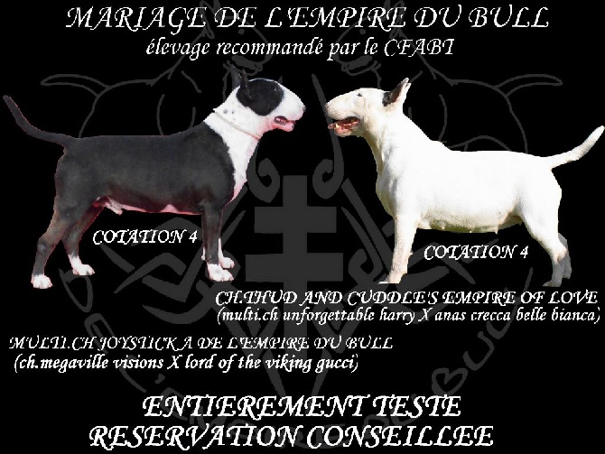 de l'Empire du Bull - CONFIRMATION DE GESTATION