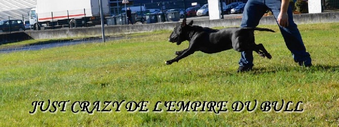 de l'Empire du Bull - UN WEEK END DE FOLIE A TARBES