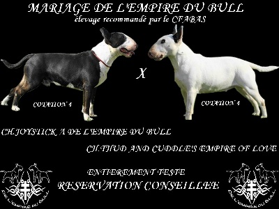 de l'Empire du Bull - MARIAGE DE CHAMPIONS !!!!