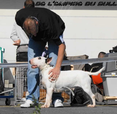 de l'Empire du Bull - ETNA PREND UNE RESERVE CAC A MARGNY LES COMPIEGNES