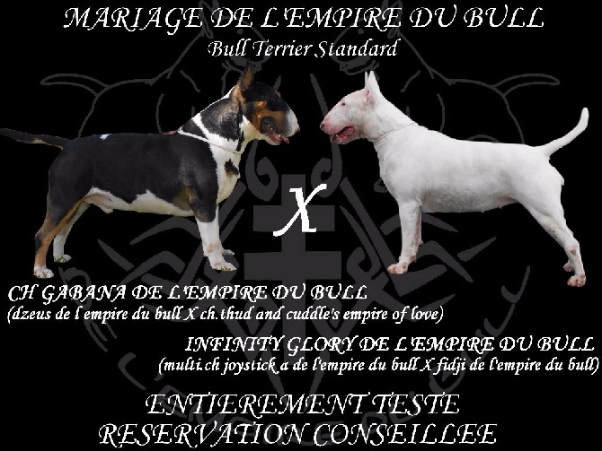 de l'Empire du Bull - FUTUR MARIAGE 100% DE L EMPIRE DU BULL 