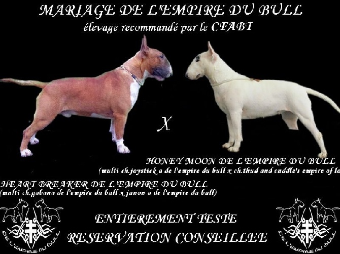 de l'Empire du Bull - MARIAGE 100% DE L'EMPIRE DU BULL