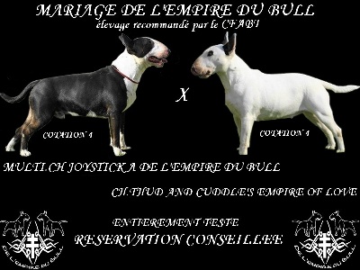 de l'Empire du Bull - DE L'EMPIRE DU BULL VA MARIE SES CHAMPIONS 