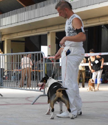 de l'Empire du Bull - DZEUS PREND LE RCACS A CHALONS