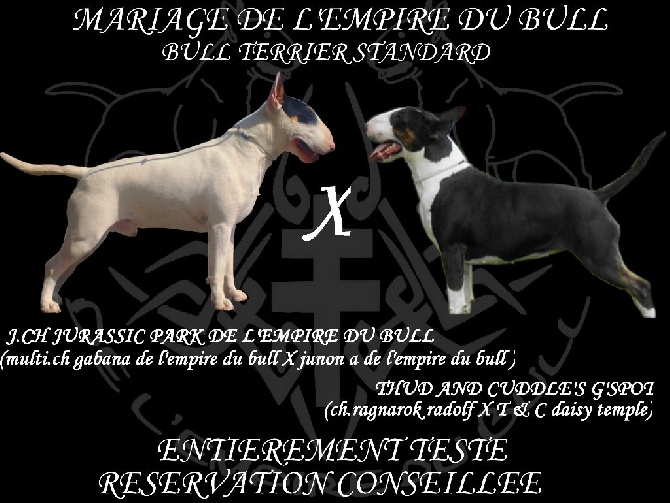 de l'Empire du Bull - PROCHAIN MARIAGE DE L'EMPIRE DU BULL