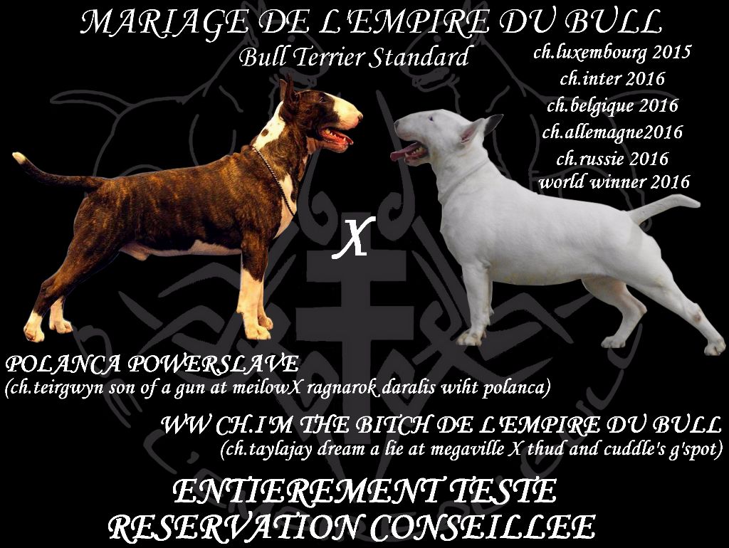 de l'Empire du Bull - bientot un mariage FRANCO ANGLAIS 