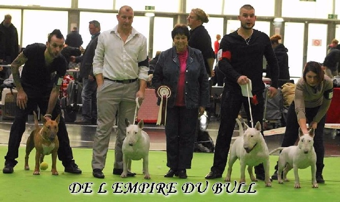 de l'Empire du Bull - FINIR L ANNÉE EN BEAUTÉ 