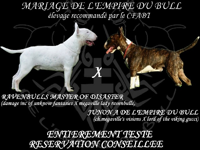 de l'Empire du Bull - UN NOUVEAU MARIAGE INEDIT EN FRANCE 