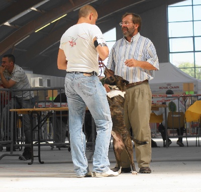 de l'Empire du Bull - EXPO CHALONS EN CHAMPAGNE