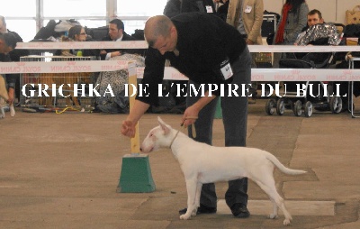 de l'Empire du Bull - EXPO INTERNATIONAL A TROYES LE 05/02/2012