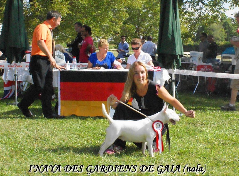 CH. I'naya Des gardiens de gaia