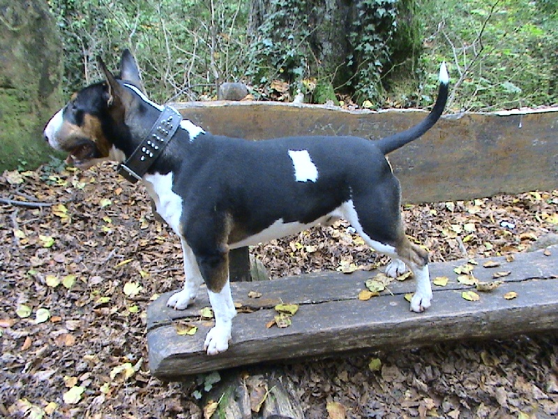 BALADE EN SOLO (CHOPPER)